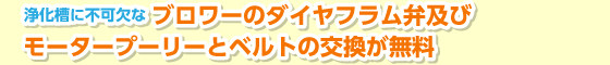 浄化槽に不可欠なブロワーのダイヤフラム弁及びモータープーリーとベルトの交換が無料！